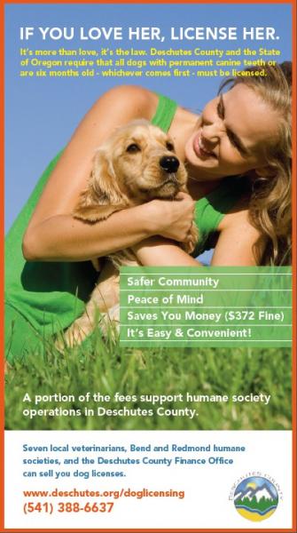 Dog Licensing Promotion Poster