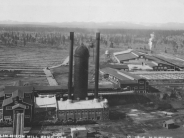 Lumber Mill Photo