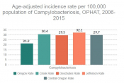 Campylobacteriosis Campylobacteriosis