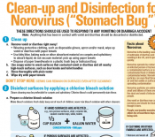 Cleaning and Disinfecting for Norovirus