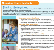 Fact Sheet: Norovirus Illness