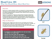 Head lice fact sheet