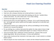 Head lice cleaning checklist