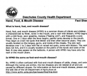 Hand foot and mouth disease fact sheet