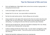 Tips for removal of nits and lice