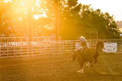Photo of horse and rider at Fair and Expo Center