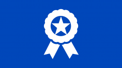 Ribbon Icon