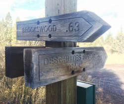 Photo of wooden directional arrows pointing in different directions