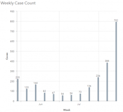 Weekly Case Count Graphic