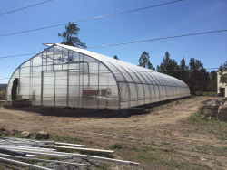 Greenhouse Photo