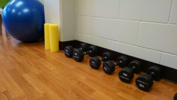 Dumbell weights on floor photo