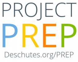 Project Preparation Logo