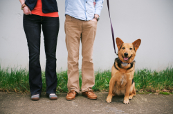 Dog with Family
