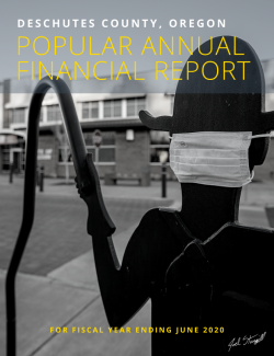 Popular Annual Financial Report Cover