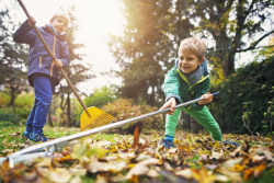 Boys Raking Leaves