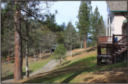 Home near forestry land