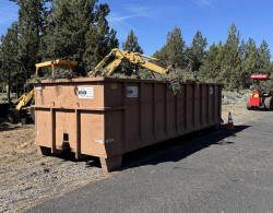 Community Bin Rental
