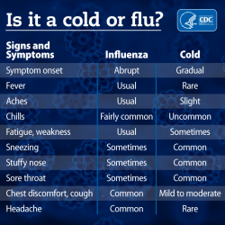 cold v flu