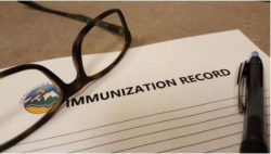 Immunization Record