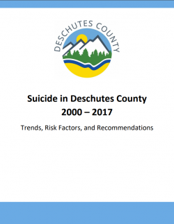 Suicide Data Report