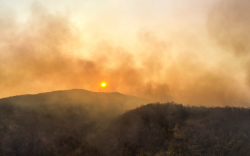 wildfire smoke