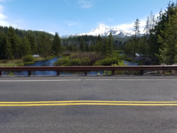 Forest highway photo