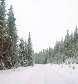 Condition of Cascade Lakes Highway, Oct. 31, 2024