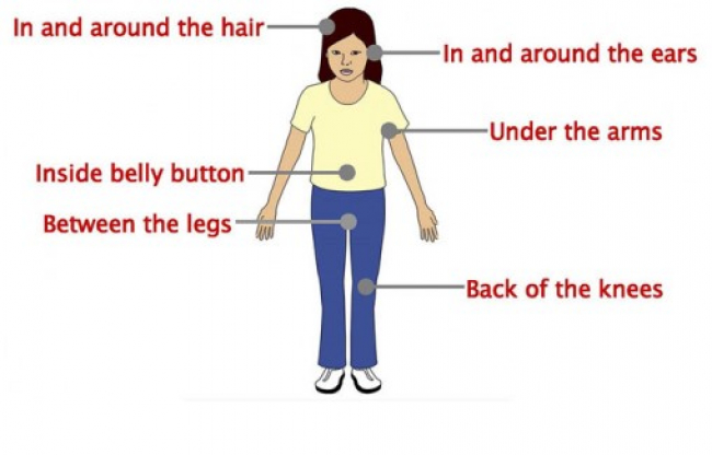 Tick locations on body image