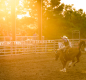 Photo of horse and rider at Fair and Expo Center