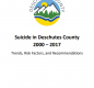 Suicide Data Report