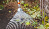 Raking up yard debris